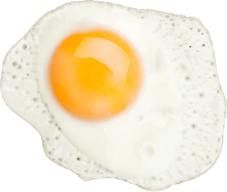 Egg